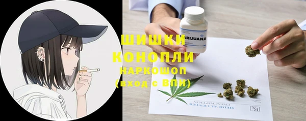гидра Балахна