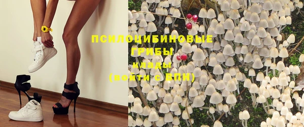 трава Баксан