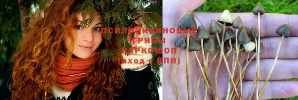 гидра Балахна