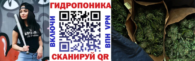 Шишки марихуана гибрид Строитель